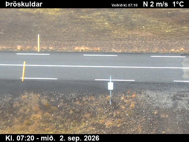 throskuldar_2-1788341173.jpg