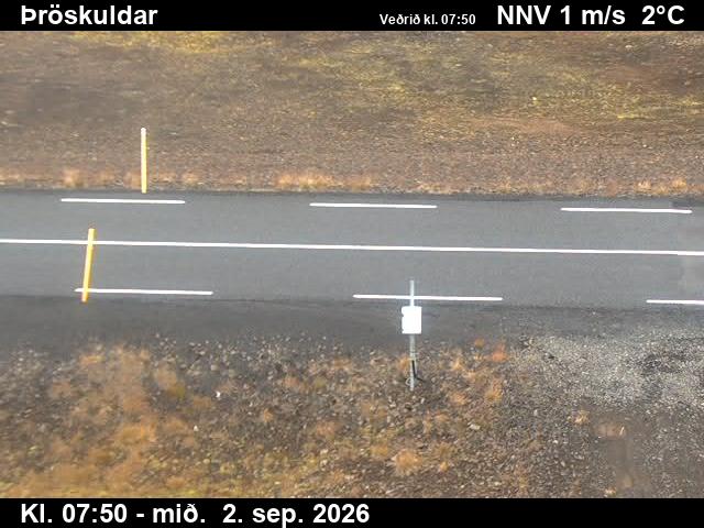 throskuldar_2-1788343286.jpg