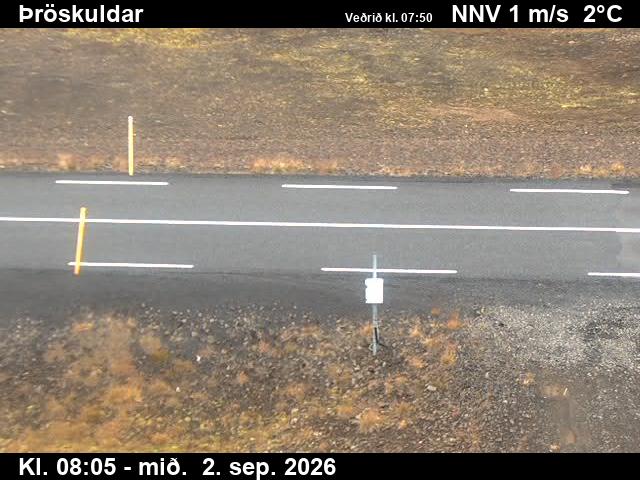 throskuldar_2-1788343621.jpg