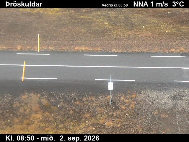 throskuldar_2-1788346881.jpg
