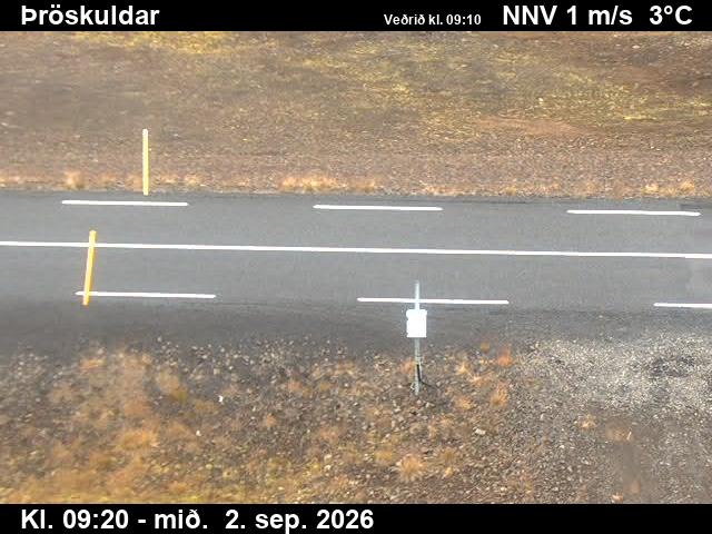 throskuldar_2-1788348347.jpg