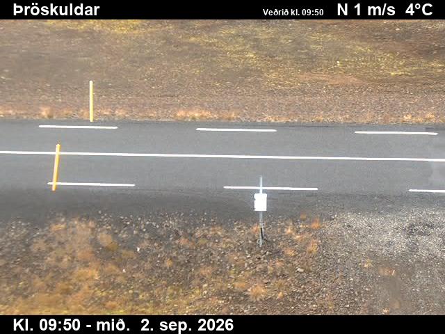 throskuldar_2-1788350528.jpg