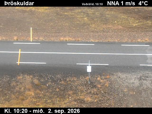 throskuldar_2-1788351954.jpg