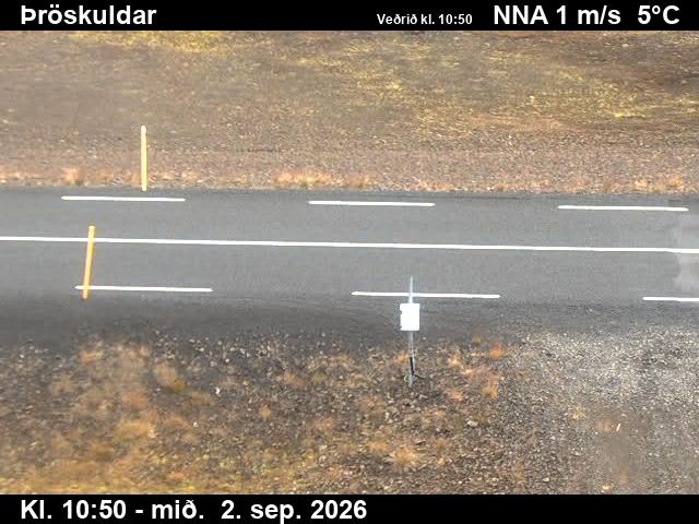 throskuldar_2-1788354174.jpg