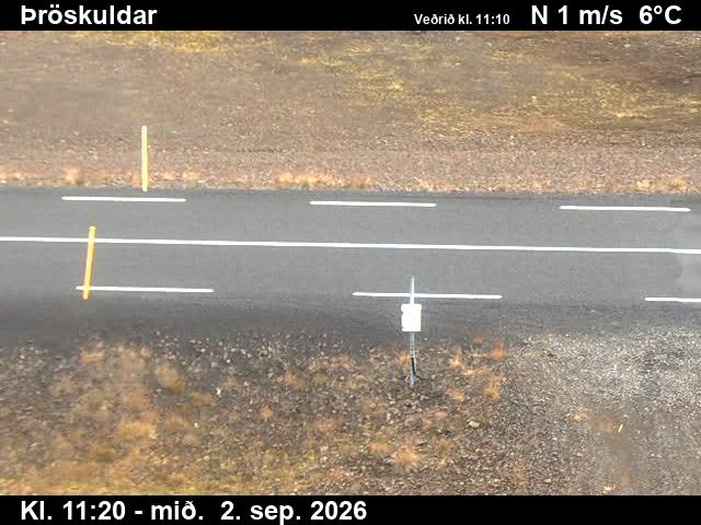 throskuldar_2-1788355560.jpg