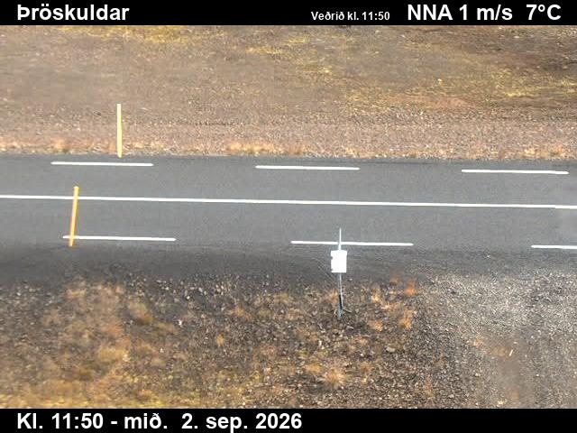 throskuldar_2-1788357715.jpg