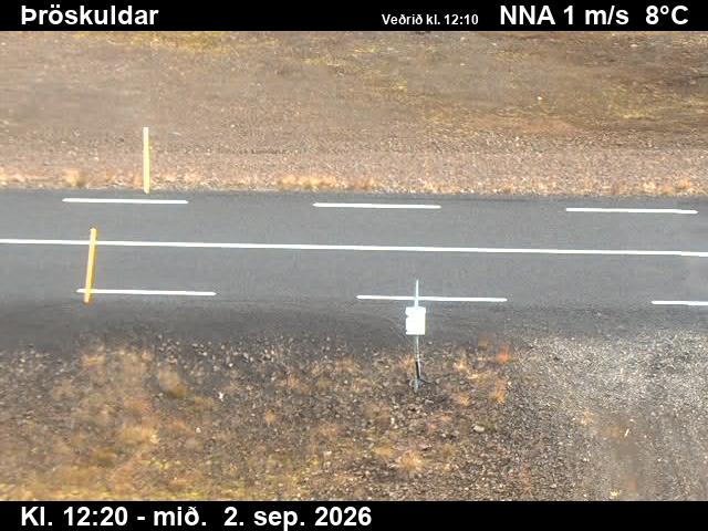throskuldar_2-1788359144.jpg