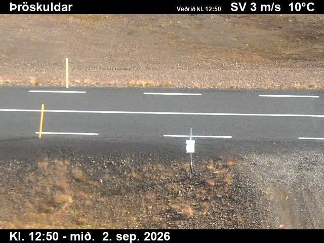 throskuldar_2-1788361323.jpg