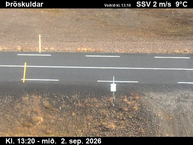 throskuldar_2-1788362755.jpg