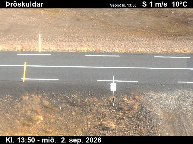 throskuldar_2-1788364870.jpg