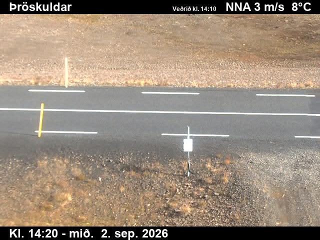 throskuldar_2-1788366395.jpg