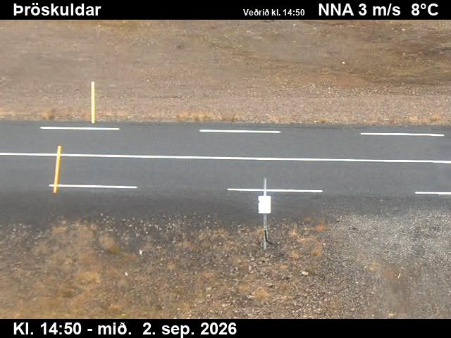 throskuldar_2-1788368457.jpg