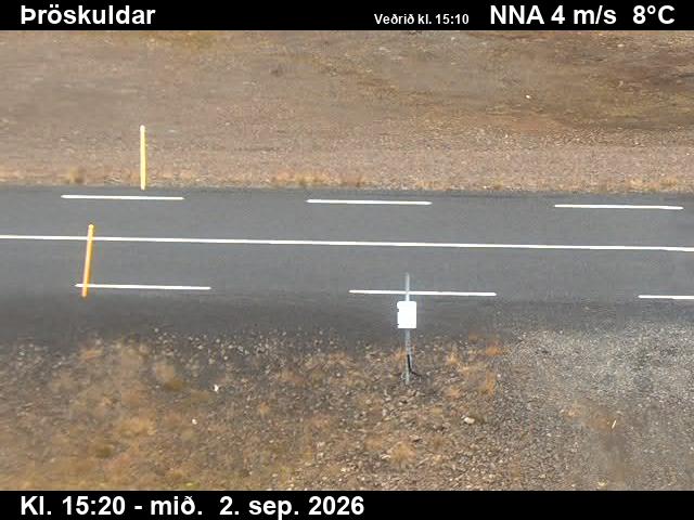 throskuldar_2-1788369952.jpg