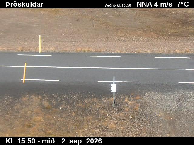 throskuldar_2-1788372067.jpg