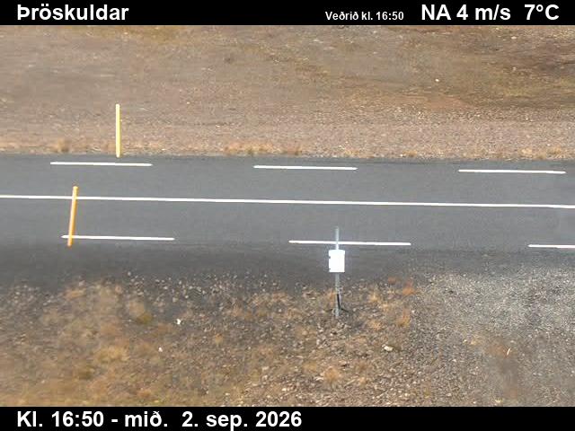 throskuldar_2-1788375698.jpg