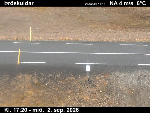 throskuldar_2-1788377153.jpg