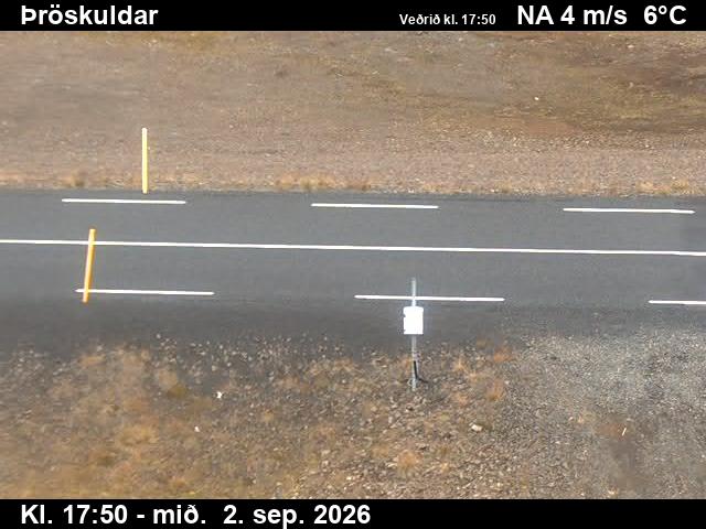 throskuldar_2-1788379285.jpg