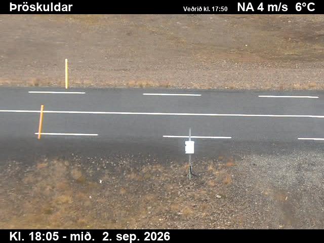 throskuldar_2-1788379586.jpg