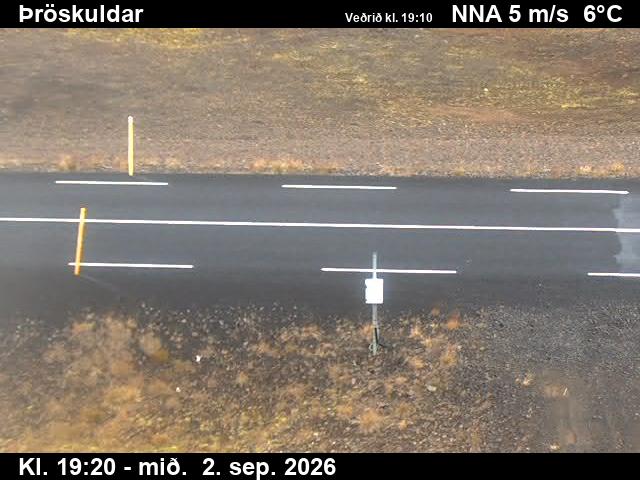 throskuldar_2-1788384343.jpg