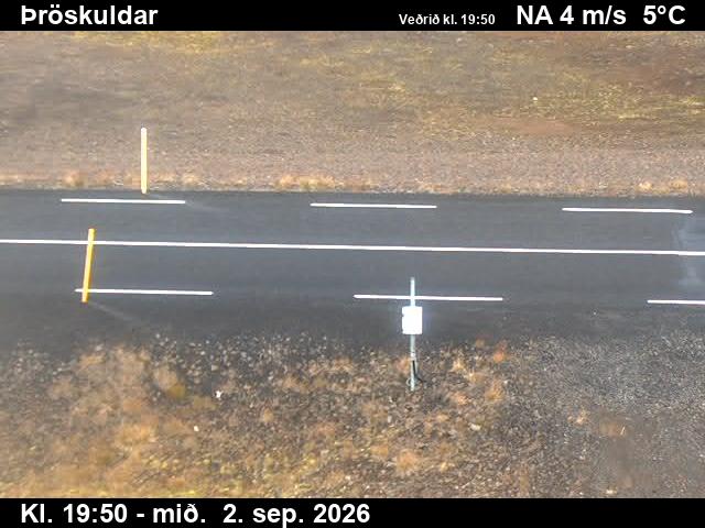 throskuldar_2-1788386543.jpg