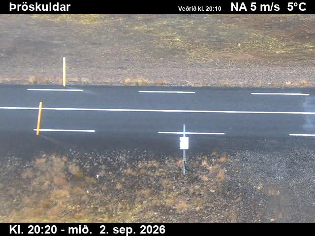 throskuldar_2-1788387962.jpg