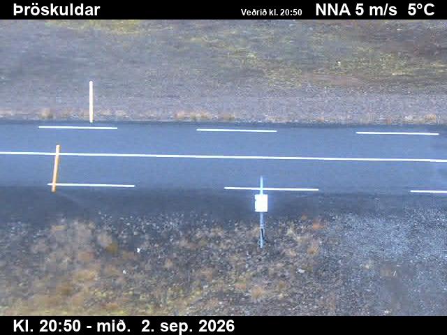throskuldar_2-1788390130.jpg