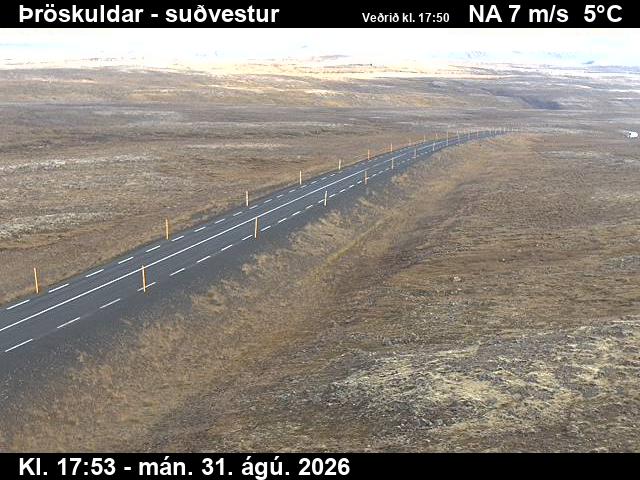 throskuldar_3-1788206557.jpg