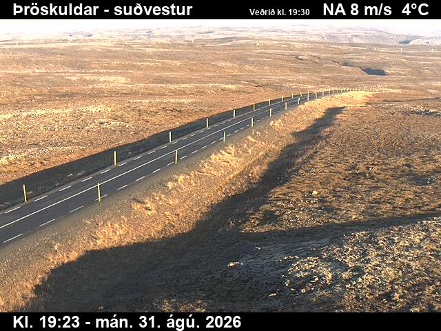 throskuldar_3-1788212293.jpg