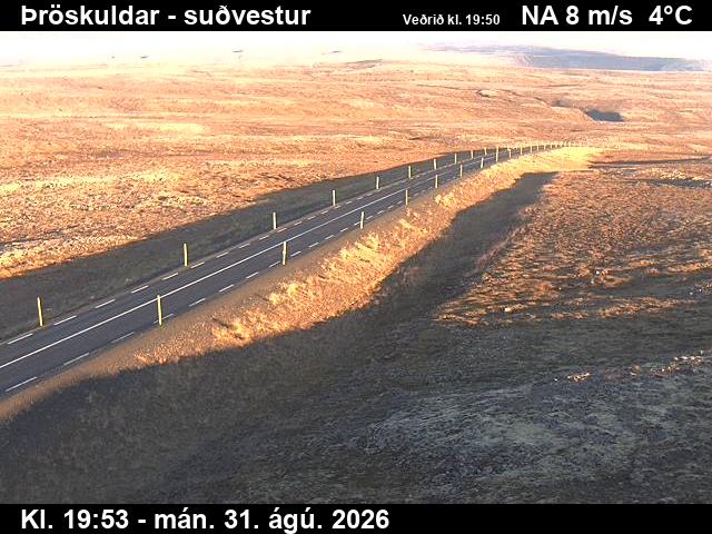 throskuldar_3-1788213668.jpg