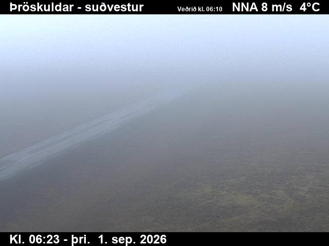 throskuldar_3-1788251159.jpg