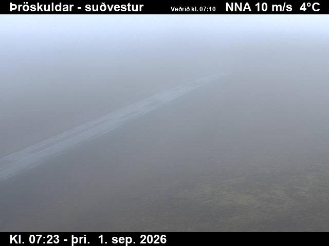 throskuldar_3-1788254775.jpg