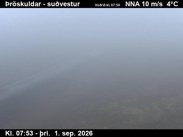 throskuldar_3-1788256949.jpg