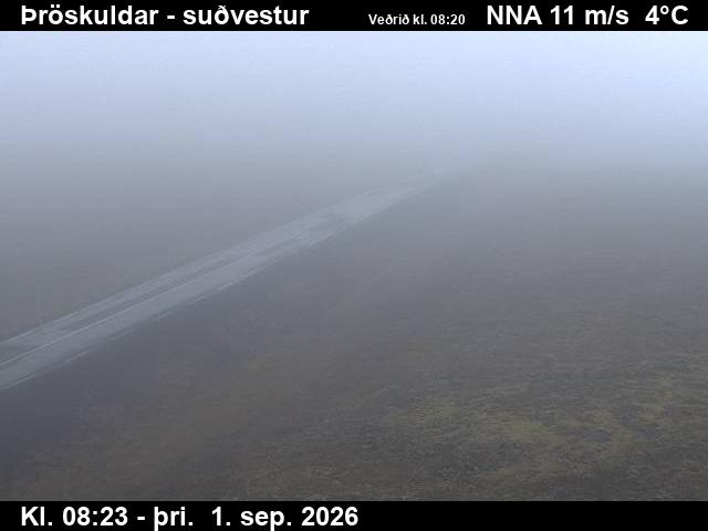 throskuldar_3-1788258538.jpg