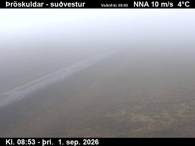 throskuldar_3-1788260800.jpg