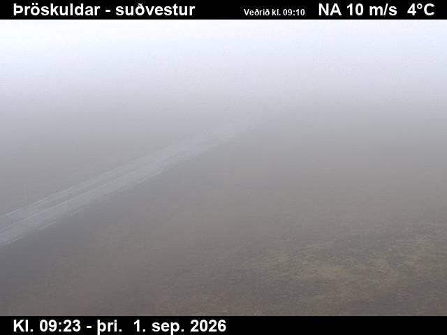 throskuldar_3-1788261941.jpg