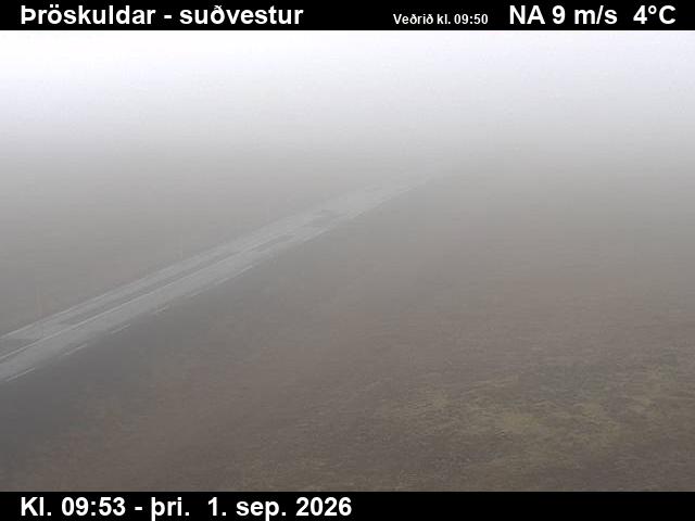 throskuldar_3-1788264159.jpg