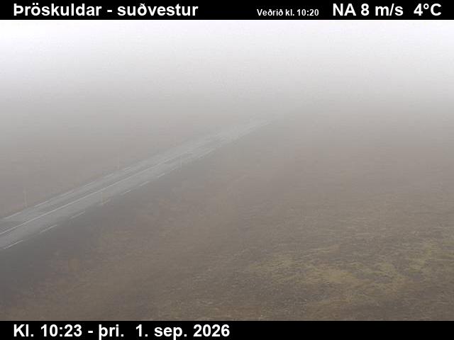throskuldar_3-1788265588.jpg