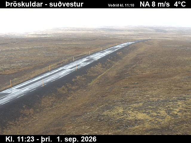 throskuldar_3-1788269132.jpg