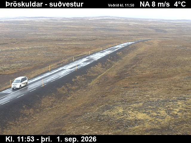 throskuldar_3-1788271246.jpg