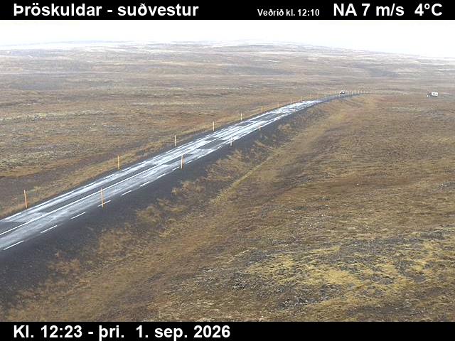 throskuldar_3-1788272780.jpg
