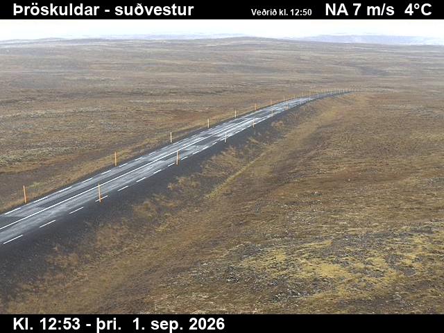 throskuldar_3-1788274878.jpg