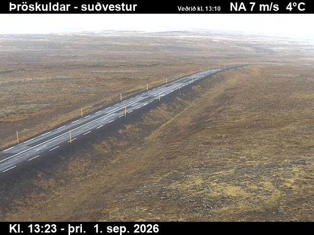 throskuldar_3-1788276354.jpg