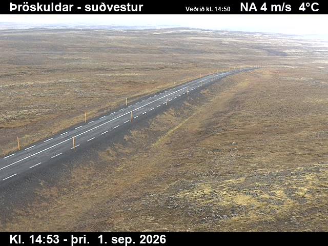 throskuldar_3-1788282370.jpg