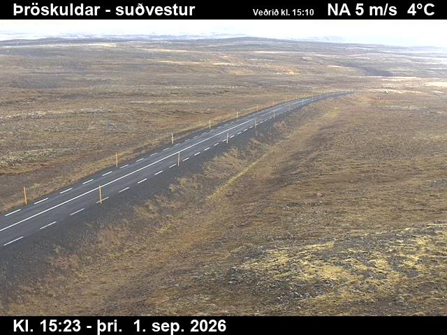 throskuldar_3-1788283579.jpg