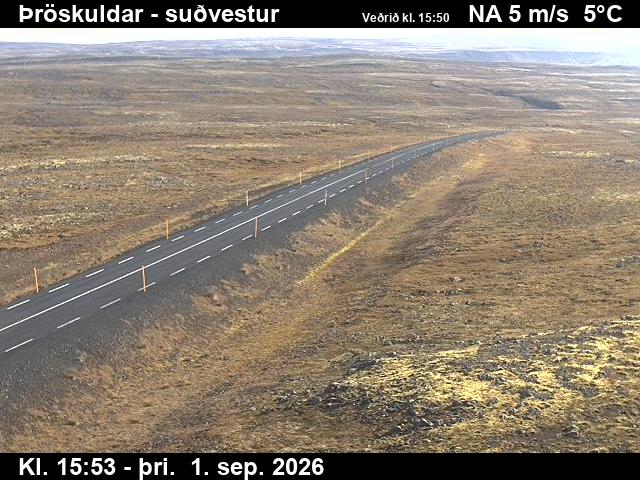 throskuldar_3-1788285720.jpg