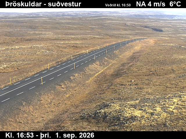 throskuldar_3-1788289329.jpg