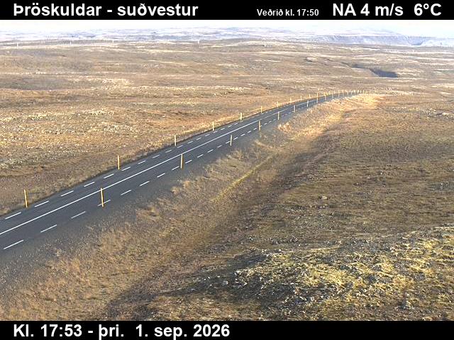 throskuldar_3-1788292904.jpg