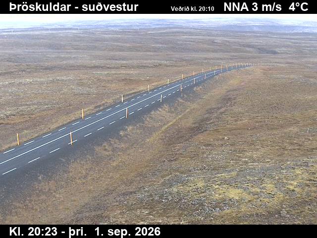 throskuldar_3-1788301584.jpg