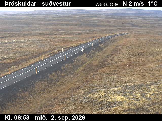 throskuldar_3-1788339736.jpg
