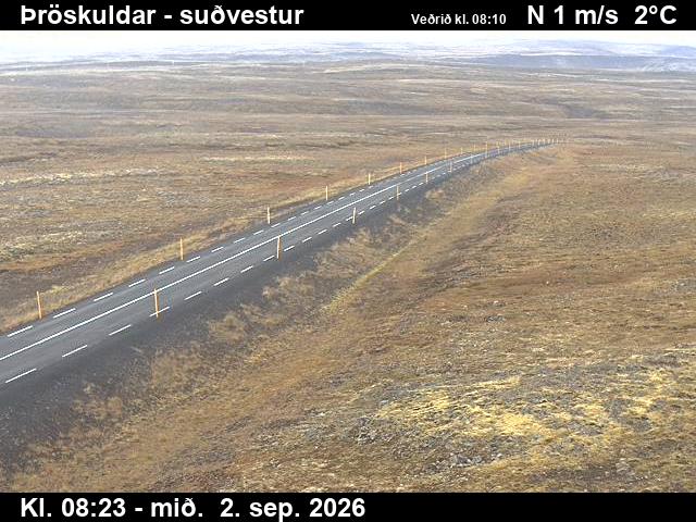 throskuldar_3-1788344784.jpg